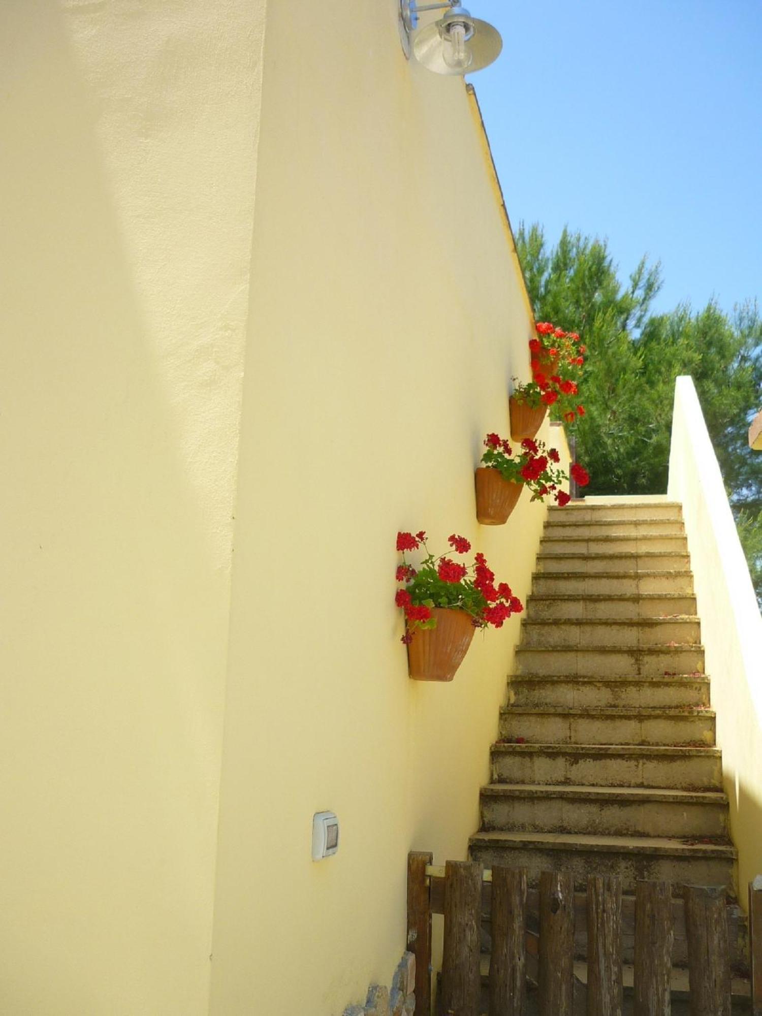 Agriturismo Tenuta La Siesta Gallipolli Exteriör bild