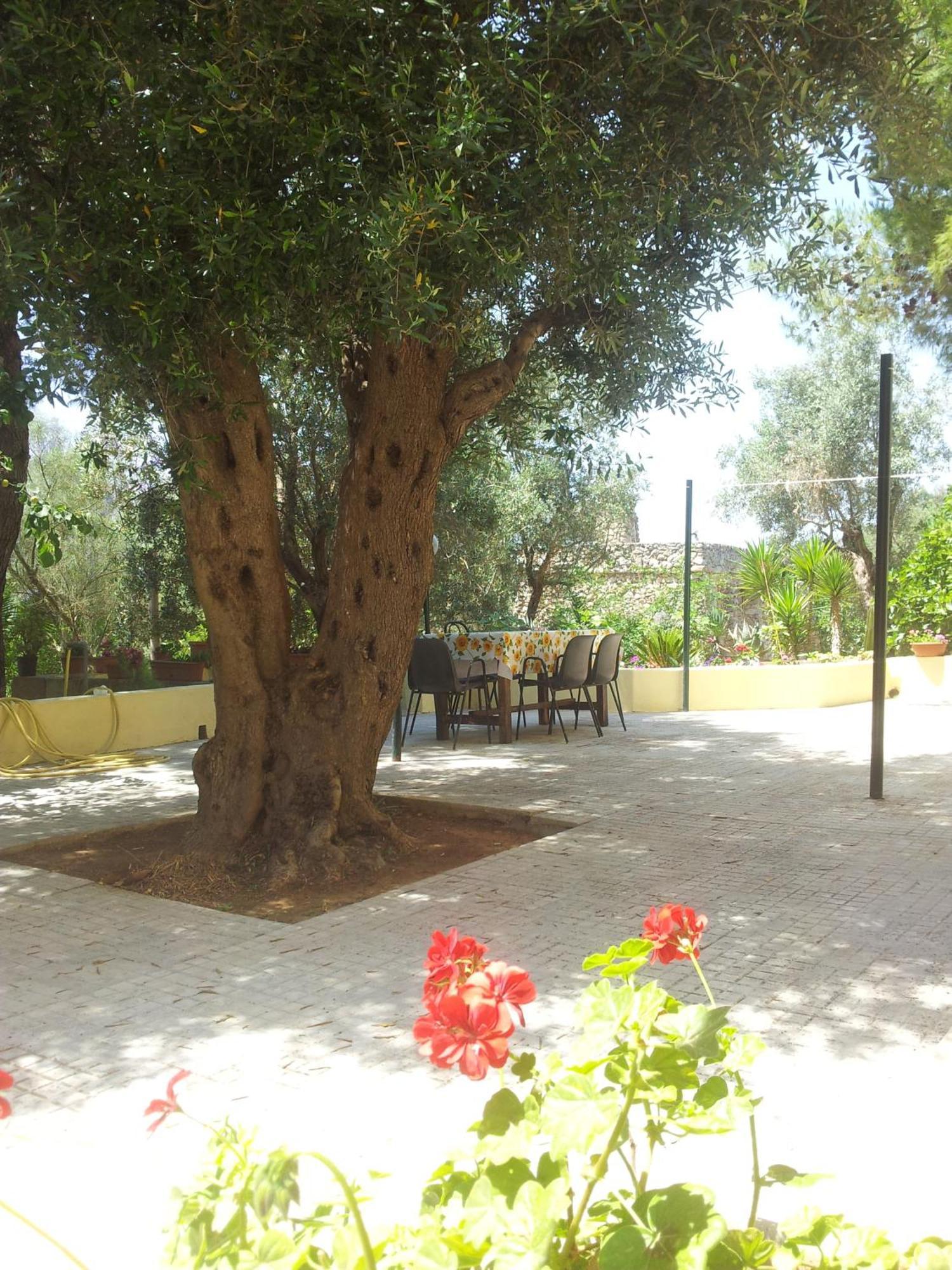 Agriturismo Tenuta La Siesta Gallipolli Exteriör bild