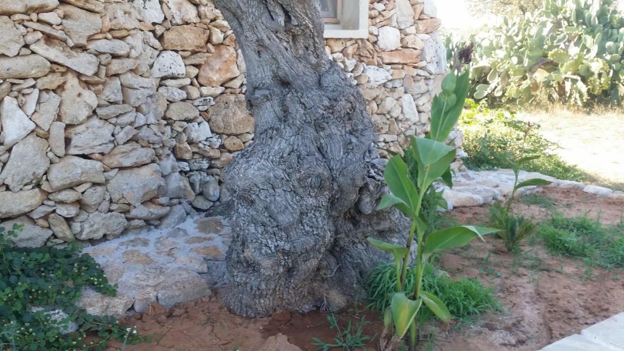 Agriturismo Tenuta La Siesta Gallipolli Exteriör bild